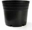 Kit 10 Vasos para Mudas 1 Litro